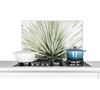 Credence Vert - Feuilles - Nature Fond de hotte 60x40 cm Credence aluminium Plaque inox de cuisine