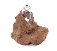 CREEDWOOD Vase en éprouvette Yuma | Bois flotté, 13x11cm (hxl) | Vase de Fleurs en Bois, Bois flotté avec Vase en Verre, Vase en Racine, Vase de décoration, de Table