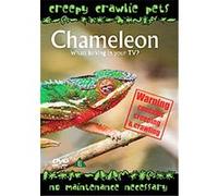 Creepy Crawlie Pets - Chameleon G