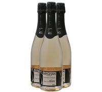 Crémant d'Alsace Blanc de Noirs - Blanc - Birghan - Vin Blanc d' Alsace (3x75cl) Effervescent
