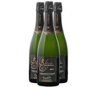 Crémant d'Alsace Brut Coeur de Cru - Blanc 2021 - Domaine Claude et Christophe Bléger - Vin Blanc d' Alsace (3x75cl) BIOEffervescent