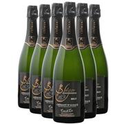 Crémant d'Alsace Brut Coeur de Cru - Blanc 2021 - Domaine Claude et Christophe Bléger - Vin Blanc d' Alsace (6x75cl) BIOEffervescent