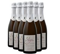 Crémant d'Alsace Extra-Brut L'inoubliable - Blanc 2020 - Domaine Claude et Christophe Bléger - Vin Blanc d' Alsace (6x75cl) BIOEffervescent