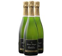 Crémant de Bourgogne Blanc de Blancs Chardonnay Brut - Blanc - Bruno Dangin - Vin Blanc de Bourgogne (3x75 ffervescent