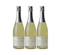 Crémant de Bourgogne Brut Blanc de Blanc 2022 - Patrick Clémencet - Vin Blanc de Bourgogne (3x75 ffervescent