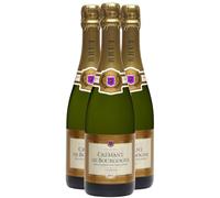 Crémant de Bourgogne Brut - Blanc - Maison Tramier - Vin Blanc de Bourgogne (3x75 ffervescent
