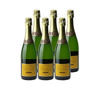 Crémant de Bourgogne Brut Réserve - Blanc - Bailly Lapierre - Vin Blanc de Bourgogne (6x75 ffervescent