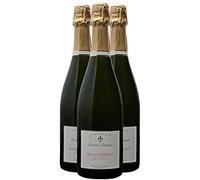 Crémant de Bourgogne Grand Éminent Brut Nature - Blanc - Bruno Dangin - Vin Blanc de Bourgogne (3x75cl) BIOEffervescent