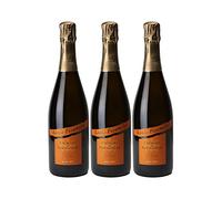 Crémant de Bourgogne Les Terroirs Brut - Blanc - Louis Picamelot - Vin Blanc de Bourgogne (3x75cl) Effervescent