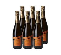 Crémant de Bourgogne Les Terroirs Brut - Blanc - Louis Picamelot - Vin Blanc de Bourgogne (6x75 ffervescent