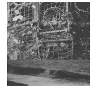 CREMATION LILY - THE PROCESSES AND INSTRUMENTS OF NORMAL PEOPLE VINYL LP NEUF