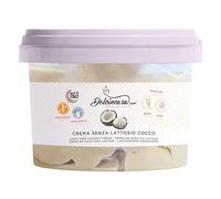 Crème à tartiner à la noix de coco Prêt à l'emploi pour particuliers et professionnels Pâte à tartiner aromatisée à la noix de coco Sans lactose Sans gluten Paquet de 500 g