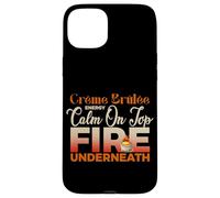 Creme Brulee Energy Calm on Top Fire Underneath Coque pour iPhone 15 Plus