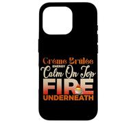 Creme Brulee Energy Calm on Top Fire Underneath Coque pour iPhone 16 Pro
