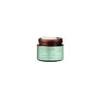 Crème Hydratante Au Suif Fouetté Biologique Avec Du Suif De B?Uf Nourri À L'herbe Et De L'huile D'encens Pour Nourrir Et Guérir La Peau. Crème Onctueuse Au Suif Et Au Manuka Pour Le Visage Et Le Corps