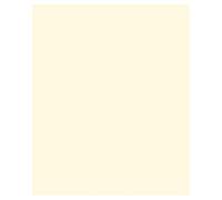 Crème Ivoire A4 Coloré Craft Carte 210gsm X 100 Pages