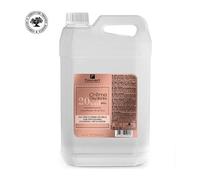 Crème Oxydante 20v Gyptis Fauvert Professionnel 5l