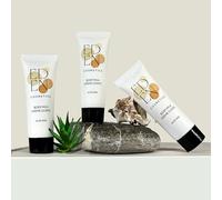 Crème pour le Corps Hydratante 30ml - Lot de 100, Parfum Doux - Idéale pour Hôtels et Locations Saisonnières - Airbnb