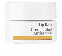 Crème pour lèvres anti-rides Dr. Hauschka Lip Balm 4,5 ml