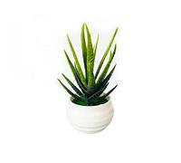 Cremlank Plantes succulentes artificielles - Imitation aloe vera/grains de millets/petites bergamotes en pot - Moule en plastique blanc pour décoration d'intérieur à l'aloe vera