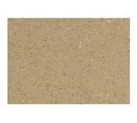 Creotime carton recy 4 marron 10 feuilles Marron G