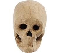Creotime crâne 10 cm papier-mâché Marron G