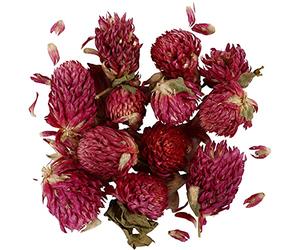 Creotime Fleurs séchées - Trèfle Rouge 15 g