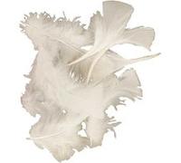 Creotime plumes de dinde longueur 7-8 cm 50 grammes blanc Blanc G
