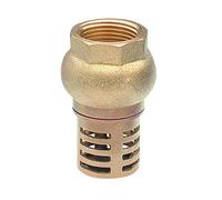 Crépine à clapet femelle F3/4' (20x27) - 1320-20L1