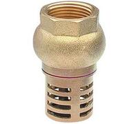 Crépine à clapet femelle F3/4' (20x27) NOYON & THIEBAULT - 1320-20L1