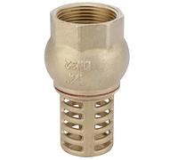 Crépine laiton femelle 26x34 de filtration | Boutté