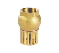 Crépine pour eau à clapet guidé - Femelle : 33x42