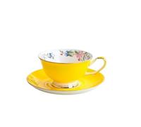 Crepundia Tasse à Café avec Soucoupe, Ensemble tasses à café pastorales 8 couleurs,tasse thé porcelaine,ensemble théière céramique couleur unie,service(Yellow)