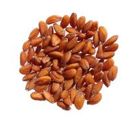 Cresson Alénois Bio - Lepidium Sativum L. (15 grammes)