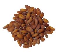 Cresson Alénois Frisé NT - Lepidium Sativum L. - SEM27