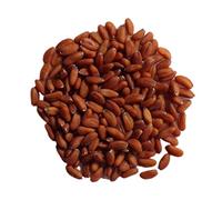 Cresson Creon NT - Lepidium Sativum L. - SEM21