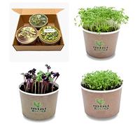 Cresson de Fontaine Cresson de Jardin et Radis Micro-pousses Graine à Germer Bio. Plantules Grandir Cultiver Croissante Légume Végétal Germes Microgreens