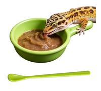 Crested Gecko Food Dish - Reptile Feeder Bowl | PP Mini Meal Cup With Spoon | 3.35x2.17 Inch Plate, Includes 6.3 Inch Feeding Spoon, for Chameleon Lizard Hermit Crab Tarantula Enclosure