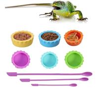 Crested Gecko Mangeoire en silicone 9 pièces | Mangeoire en silicone de qualité alimentaire avec tasses et cuillère pour geckos, serpents, tortues, grenouilles, ermites