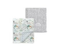 CREVENT Lot de 2 couvertures Mignonnes, douillettes, douillettes, Chaudes, pour Nourrissons et Tout-Petits, Linge de lit, lit d'enfant, Poussette, Nuage Gris + Dinosaure 75 x 100 cm