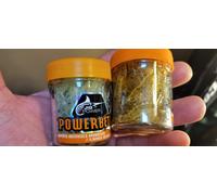 Crevette Phosphoresente