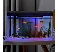 Crevyteg 12L Aquarium avec Filtre et Lumière, Alimentation en Oxygène Lumière LED, Mini Aquarium Décoration de Table pour la Maison, Le Bureau, Le Salon