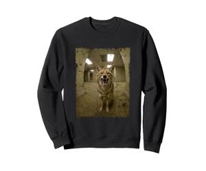 Cri Chacal Bureau Salle De Pause Animal Sweatshirt