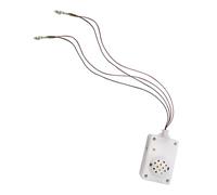 Cri fantôme activé par la voix, haut-parleur criant fantôme,Haut-parleur à commande vocale pour Halloween | Accessoires effrayants à piles pour Halloween, outils effrayants avec lumière LED po