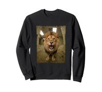 Cri Lion Bureau Salle De Pause Animal Sweatshirt