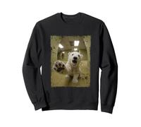 Cri Ours Polaire Bureau Salle De Pause Animal Sweatshirt