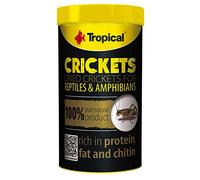 Crickets 100ml / 10g - Grillons seches pour Reptiles et Amphibiens