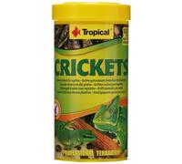 Crickets 250ml / 25g - Grillons seches pour Reptiles et Amphibiens