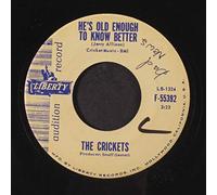 CRICKETS - i'm feeling better 45 rpm single