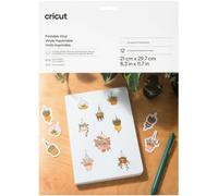Cricut - Accessoire Vinyl A4 10 Feuilles Transparent